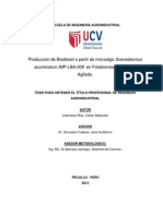 Producción de Biodiesel A Partir de Scenedesmus Spp.