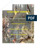 Ecosistema Terrreste