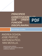 Principios Constitucionales Que Orientan La Función Disciplinaria