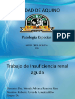 Insuficiencia Renal Aguda