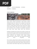 Download Makalah Bijih Besi by yuanjayapratama SN186447605 doc pdf