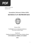 Download Semester 4 2011 Komunikasi Informasi Edukasi Kie Kesehatan Reproduksi by Mira Rizki Ramadhan SN186467331 doc pdf