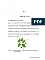 Tinjauan Pustaka Tentang Piperaceae dan Rubiaceae