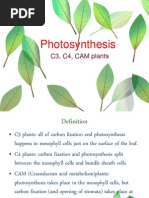 Photosynthesis: C3, C4, CAM Plants