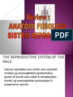 Anfis Sistem Reproduksi
