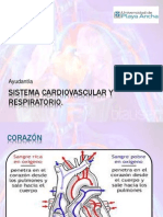 Sistema Cardiovascular y Respiratorio