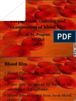 Lab Number 4 Blood Film