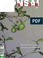 176942238-Bonsai-Pasion-41