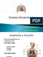 Sistema Respiratorio