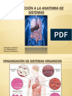 INTRODUCCIÓN A LA ANATOMIA DE SISTEMAS