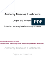 Musc Action Flashcards
