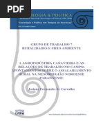 A AGROINDÚSTRIA CANAVIEIRA