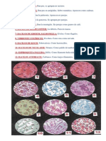 Imágenes Tomadas Por Un Microscopio