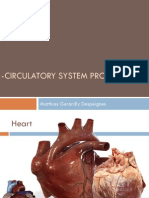 Circulatory System Project