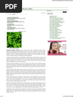 Download Pengertian Mikroba Patogen - Fusarium Sp by Amy Utami SN186632416 doc pdf