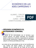 Regiemen Economicos en Las Comunidades Nativas