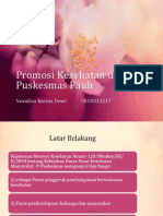 Promosi Kesehatan Di Puskesmas Pauh