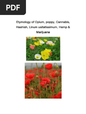 Etymology of Opium, Poppy, Cannabis, Hashish, Linum Usitatissimum, Hemp & Marijuana
