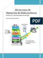 Análisis Del Proceso de Obtención de Hidrocarburos