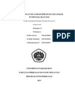 Download laporan praktikum perhitungan sel darah merah dan sel darah putih by Muhammad Rizk-q SN186674538 doc pdf