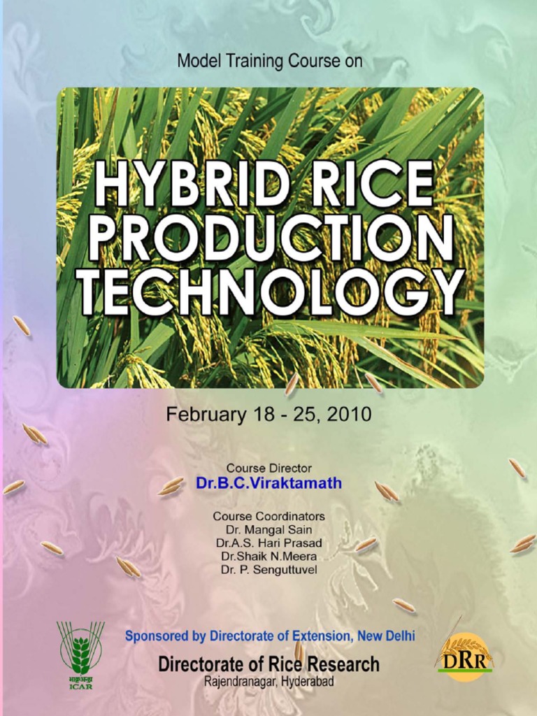 Hybrid Rice Research and Future Prospects | PDF | Rice | Plant Breeding