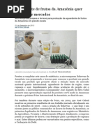 Aguardente de frutos da Amazônia quer conquistar mercados