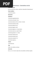 Download Erva-de-santa-luzia - Commelina erecta -  Ervas e Frutas Comestveis do Bioma Mata Atlntica  Ficha Completa Ilustrada by Viam prudentiae SN186735973 doc pdf