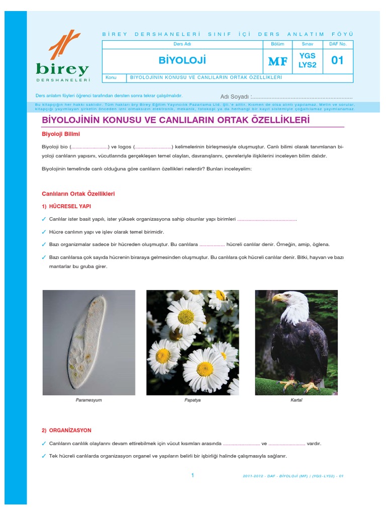 LYS Biyoloji MF Föy-01