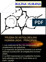 Prueba de Antiglobulina Humana (AGH): Principios, Métodos y Factores que Afectan los Resultados