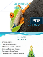 zoolgico virtual  darienita  anfibios