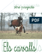 Projecte Dels Cavalls