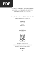Download Laporan Isolasi DNA Dan Elektroforesis by Annisa Amalia SN186803385 doc pdf