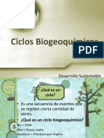 Ciclos Biogeoquímicos