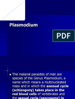 Plasm Odium