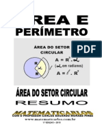 Area Do Setor Circular - Conteudo