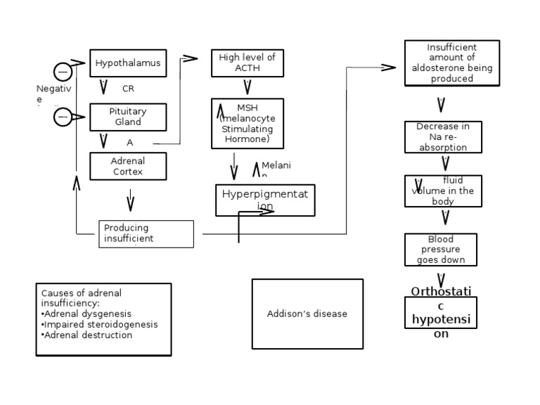 Addison's Disease Pathophysiology Overview | PDF