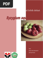 Download Syzygium aqueum by Betacarotene95 SN186900364 doc pdf