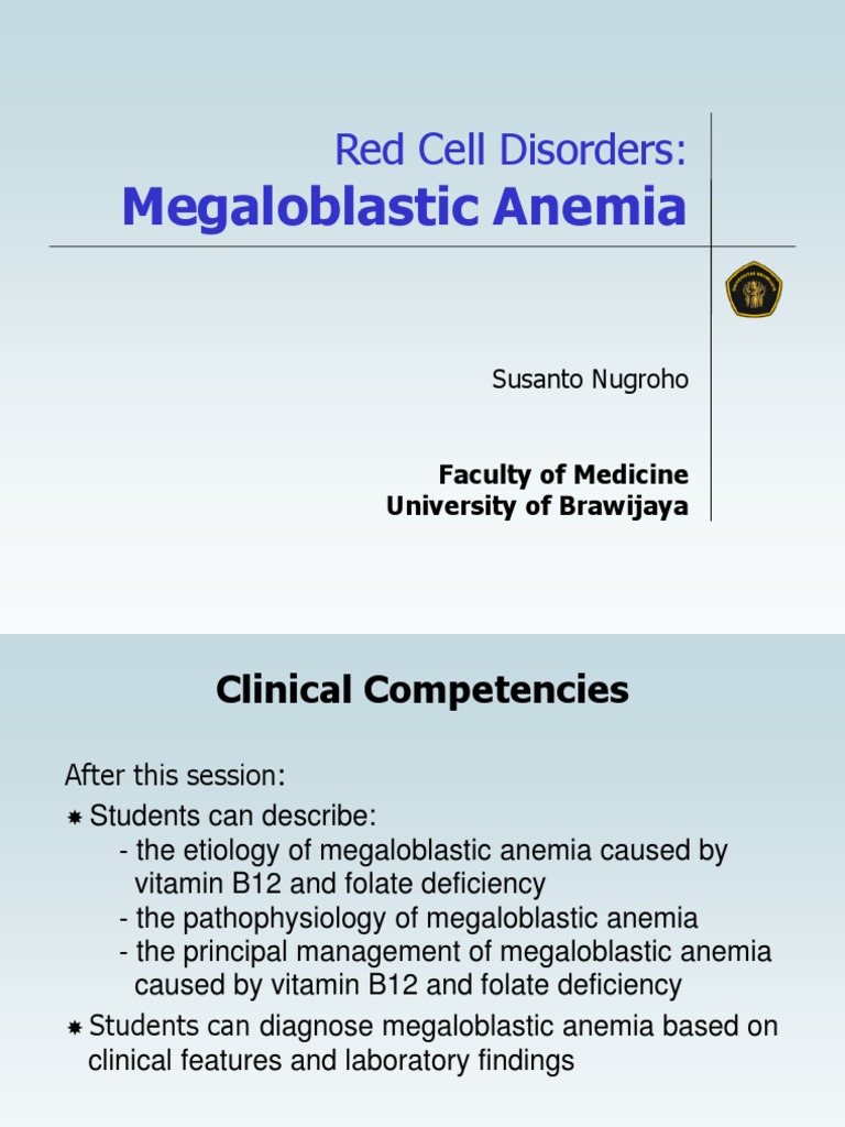 7 Megaloblastic Anemia PDF Anemia Vitamin B12
