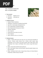 Download LOBAK by emallia SN186924186 doc pdf