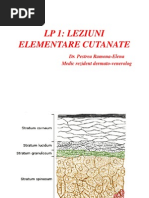 Download Lp1 Leziuni Elementare Cutanate by Nykole Nyx SN186978422 doc pdf