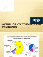 Aktualios Vykdymo Proceso Problemos