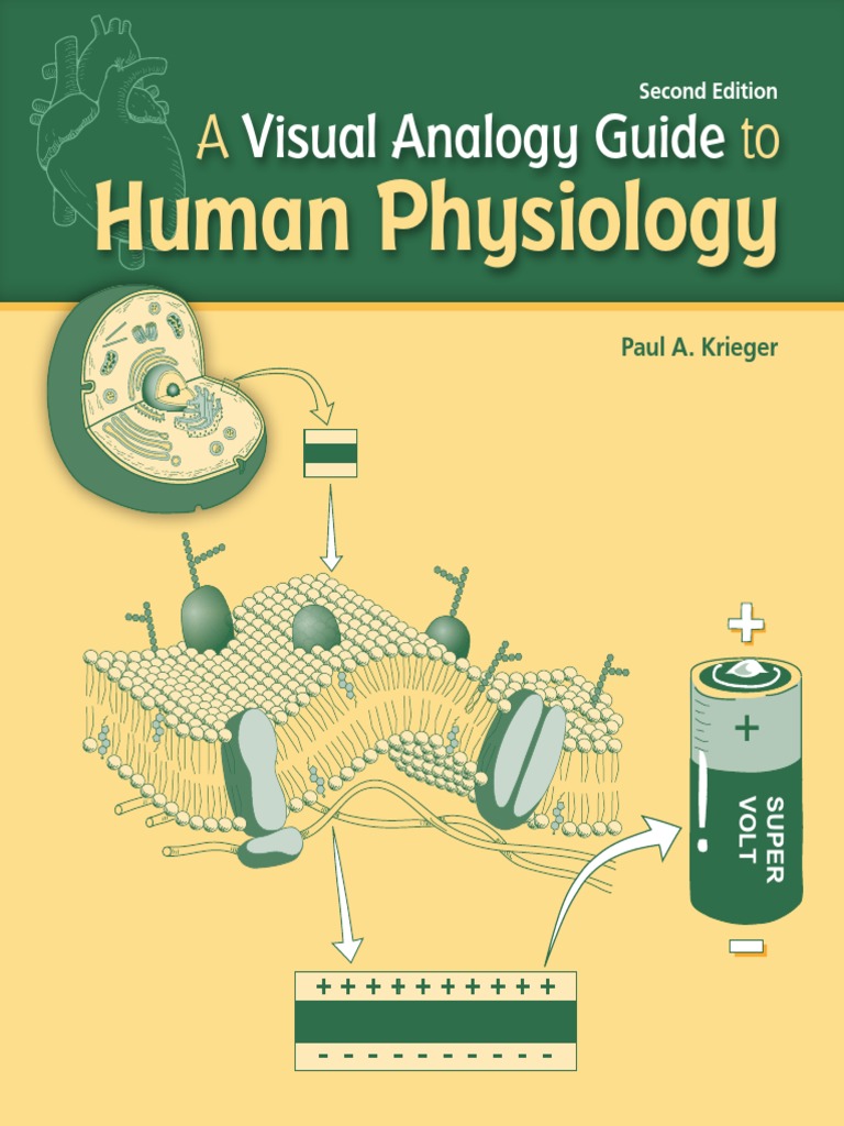 A Visual Analogy Guide To Human Physiology | PDF
