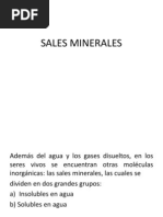 Sales Minerales
