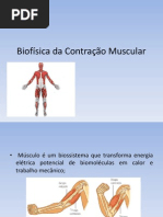 Biofísica da Contração Muscular 2013