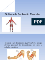 Biofísica da Contração Muscular 2013