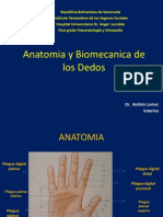 Anatomia y Biomecanica de Lo Dedos