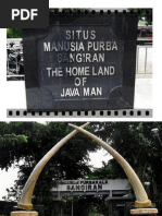 Download Powerpoint Manusia Purba Sangiran by RizkyRamadhanty SN187122964 doc pdf