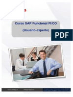 SAP Funcional FICO (Usuario Experto)