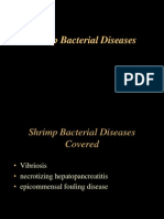 Lecture 9a Shrimp Bacterial Diseases