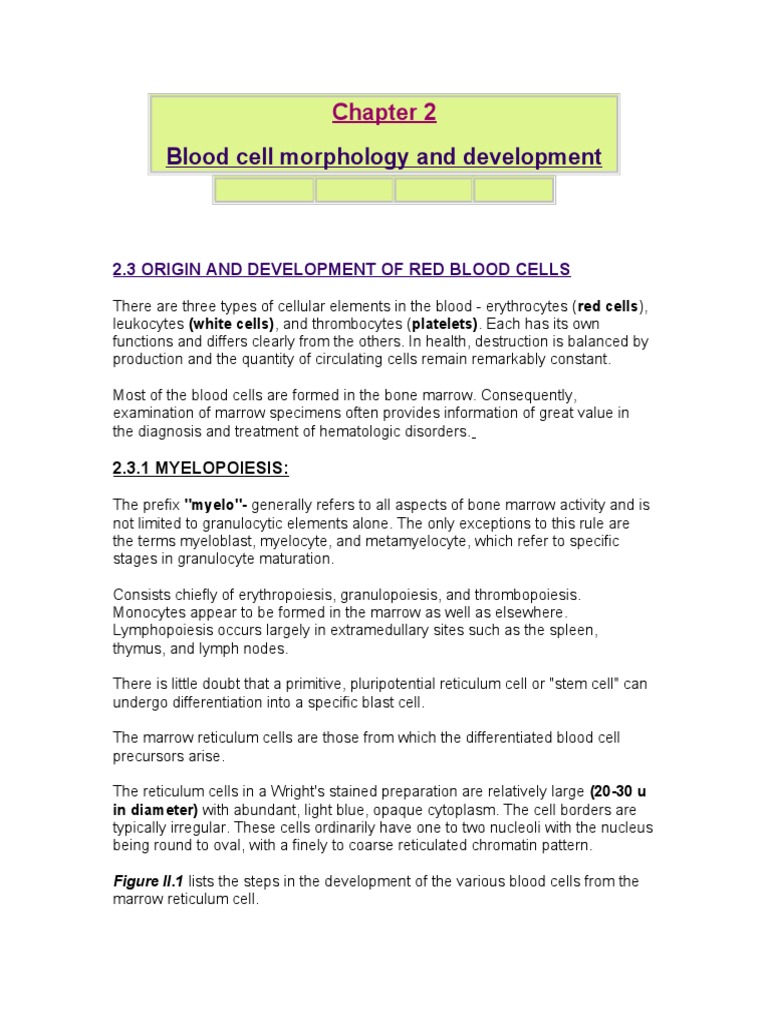 Chapter 2 | PDF | Science & Mathematics